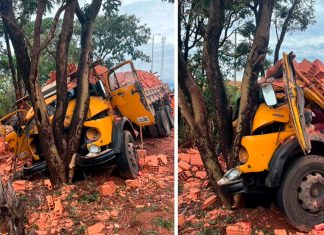 Caminhão de tijolos desvia de ambulância, bate em árvore e deixa dois feridos na BR-365 Caminhão carregado de tijolos danificado após colidir contra árvore na margem da rodovia BR-365.