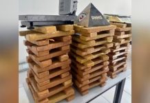 Vizinho desconfia de portão aberto e PM descobre 110 barras de maconha em Uberlândia Barras de maconha e balanças de precisão apreendidas pela Polícia Militar alinhadas em cima de uma mesa.