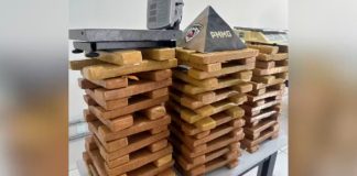 Vizinho desconfia de portão aberto e PM descobre 110 barras de maconha em Uberlândia Barras de maconha e balanças de precisão apreendidas pela Polícia Militar alinhadas em cima de uma mesa.