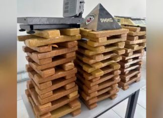 Vizinho desconfia de portão aberto e PM descobre 110 barras de maconha em Uberlândia Barras de maconha e balanças de precisão apreendidas pela Polícia Militar alinhadas em cima de uma mesa.
