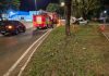 Tragédia em Patos de Minas: motorista morre após colisão contra árvores Veículo destruído após colidir contra árvore em canteiro central.