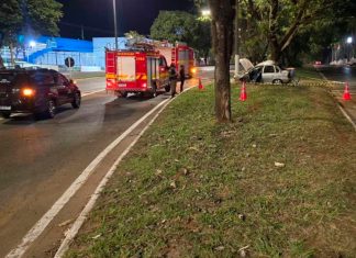 Tragédia em Patos de Minas: motorista morre após colisão contra árvores Veículo destruído após colidir contra árvore em canteiro central.