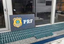 PRF intercepta caminhão com 600 kg de pólvora ilegal em Minas Gerais Agentes da PRF ao lado de caixas de pólvora apreendidas no baú de um caminhão.