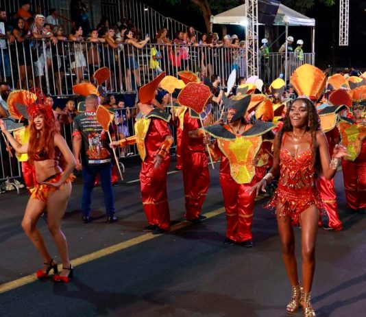 Prefeitura de Uberlândia abre inscrições com R$ 76 mil em auxílio para blocos do Carnaval 2027 Foliões fantasiados em um bloco de rua durante o Carnaval em Uberlândia.