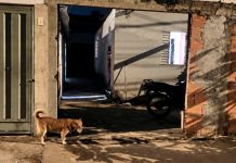 Homem morre após ser esfaqueado em discussão no Integração; enteado é localizado no Morumbi Viatura da Polícia Militar e movimentação policial em rua do bairro Residencial Integração em Uberlândia.