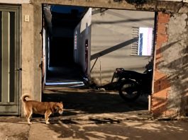 Homem morre após ser esfaqueado em discussão no Integração; enteado é localizado no Morumbi Viatura da Polícia Militar e movimentação policial em rua do bairro Residencial Integração em Uberlândia.