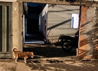 Homem morre após ser esfaqueado em discussão no Integração; enteado é localizado no Morumbi Viatura da Polícia Militar e movimentação policial em rua do bairro Residencial Integração em Uberlândia.
